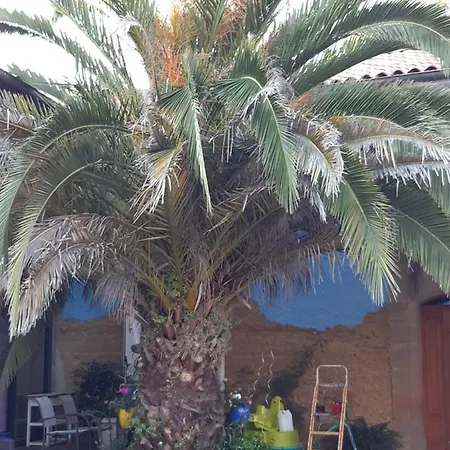 Double Avec Piscine Et Jacuzzi Frühstückspension