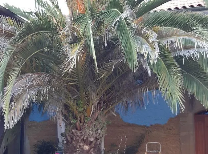 Double Avec Piscine Et Jacuzzi Couette-café